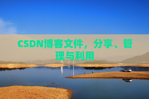 CSDN博客文件，分享、管理与利用